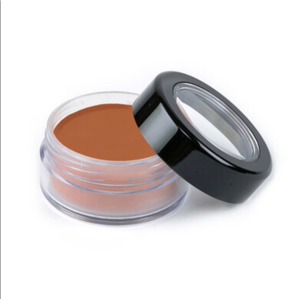PICTURE PERFECT FOUNDATION – ORIGINAL (WORSHIP TAN)
